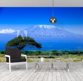 Picture of Kilimanjaro landscape